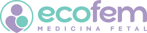EcoFemPeru